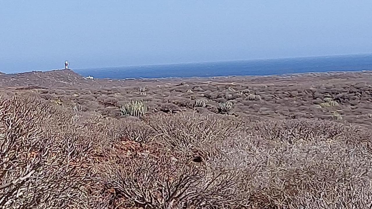 Paraiso Del Palm Mar מראה חיצוני תמונה