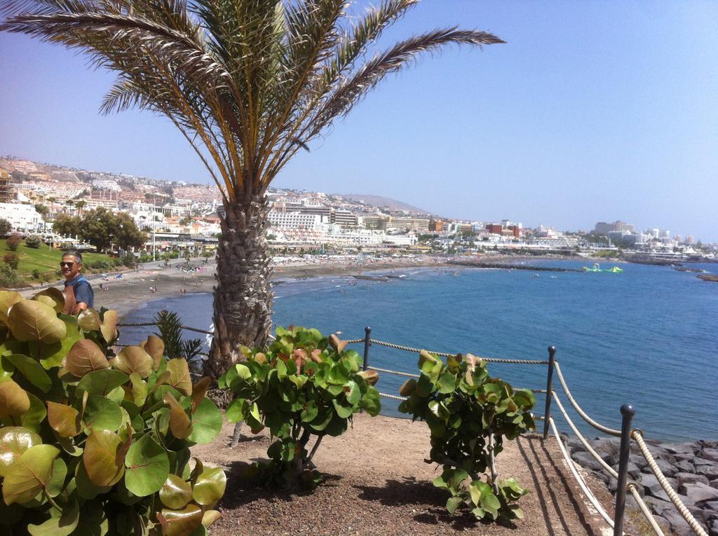 Paraiso Del Palm Mar מראה חיצוני תמונה